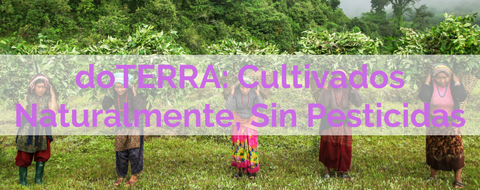 doTERRA: Cultivados Naturalmente, Sin Pesticidas