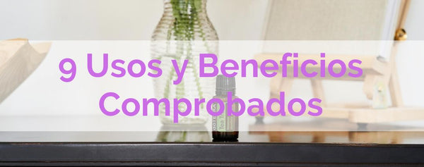Aceite de Árbol de Té dōTERRA | 9 Usos y Beneficios Comprobados