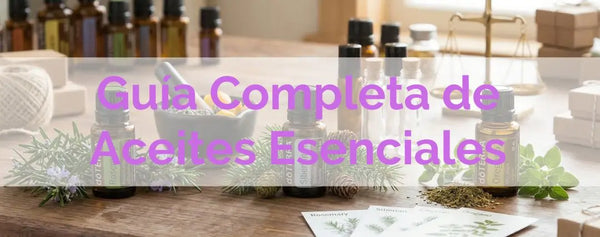 Banner panorámico de un puesto de mezcla de aceites esenciales con botellas de doTERRA, hierbas frescas y accesorios botánicos.