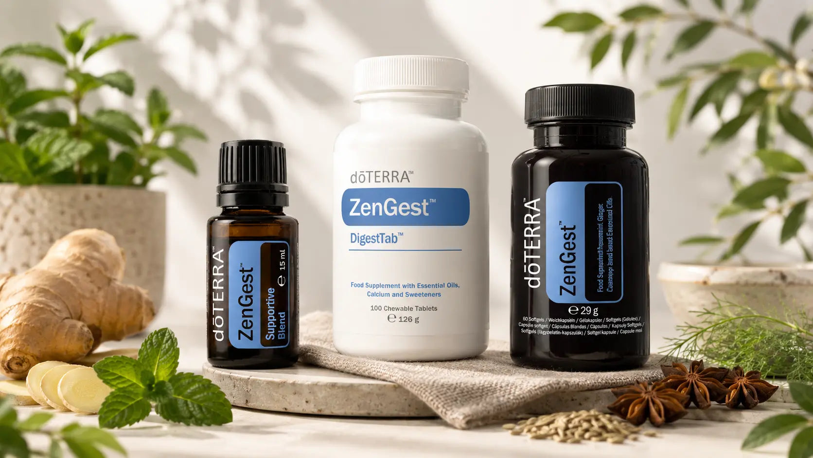 Conjunto dōTERRA ZenGest con aceite de 15ml, envase blanco DigestTab y frasco de cápsulas blandas sobre base de piedra con jengibre y anís.