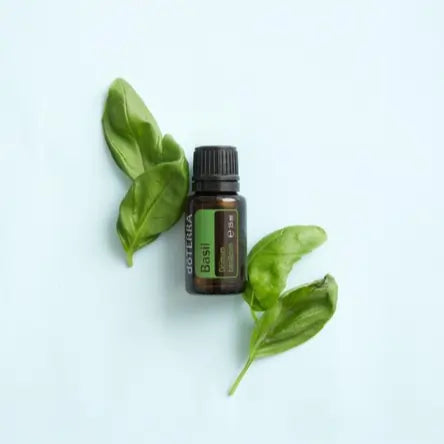 Aceite Esencial Albahaca | 15ml dōTERRA