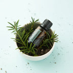 Aceite esencial de Abeto Siberiano dōTERRA 15ml en maceta blanca con planta de abeto y tierra, fondo azul claro