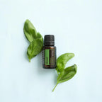 Flat lay del Aceite Esencial de Albahaca dōTERRA 15ml entre hojas de albahaca frescas sobre fondo azul menta