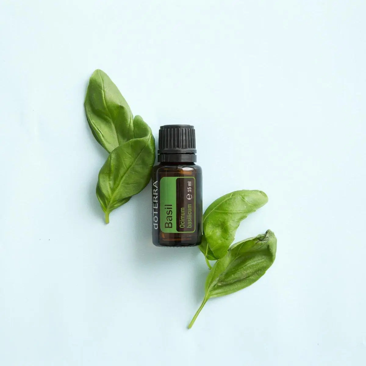 Flat lay del Aceite Esencial de Albahaca dōTERRA 15ml entre hojas de albahaca frescas sobre fondo azul menta