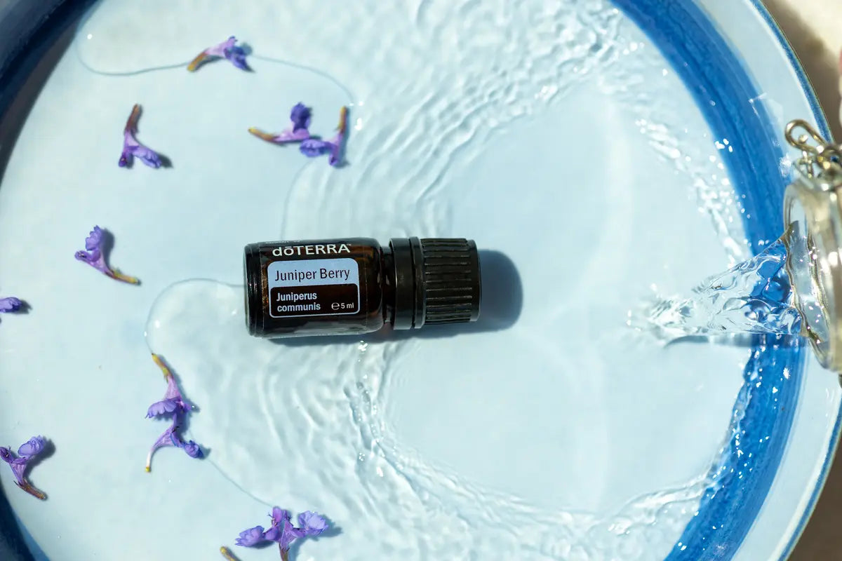Aceite esencial Juniper Berry dōTERRA 5ml en cuenco azul con agua y pétalos morados, vista cenital