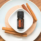 Vista aérea del Aceite Esencial de Canela dōTERRA 5ml en cuenco cerámico blanco sobre posavasos de madera, con palos de canela alrededor en plato blanco