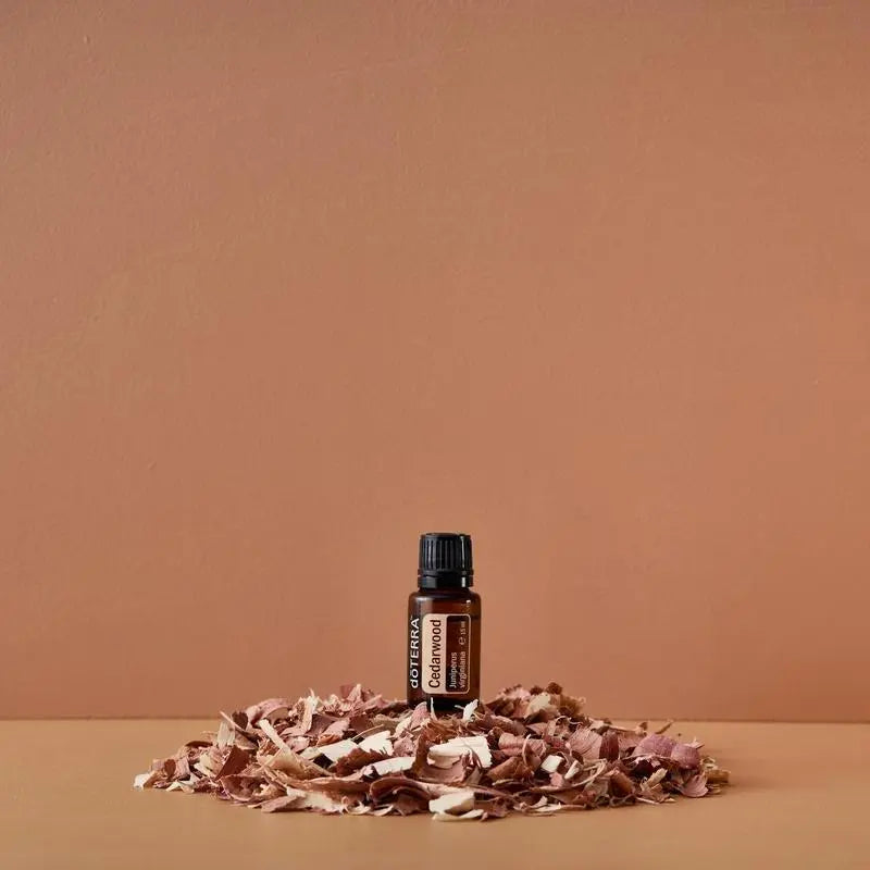 Frasco del Aceite Esencial de Cedro dōTERRA 15ml rodeado de virutas de madera de cedro sobre superficie beige, fondo terracota