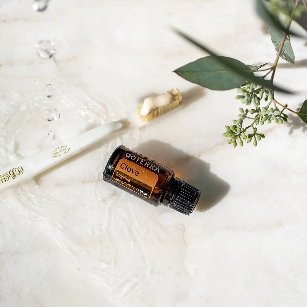Frasco de aceite esencial de clavo dōTERRA 15 ml sobre mármol blanco con gotas de agua y hojas de eucalipto