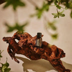 Frasco del Aceite Esencial de Copaiba dōTERRA 15ml sobre raíz de madera tropical rojiza y nudosa, hojas verdes desenfocadas alrededor