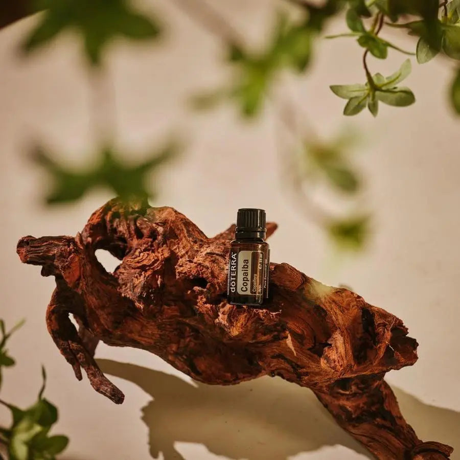 Frasco del Aceite Esencial de Copaiba dōTERRA 15ml sobre raíz de madera tropical rojiza y nudosa, hojas verdes desenfocadas alrededor