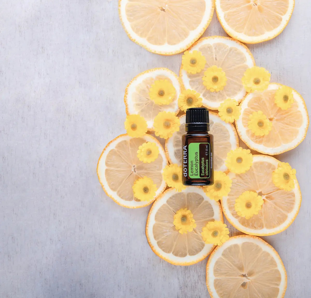 Aceite esencial de eucalipto limón dōTERRA 15ml sobre madera blanca rodeado de rodajas secas de limón y pequeñas flores amarillas silvestres, flat lay cenital