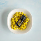 Aceite esencial de helicriso dōTERRA 5ml en cuenco cerámico blanco lleno de flores amarillas frescas de helichrysum sobre fondo azul claro, cenital