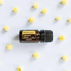 Frasco de aceite esencial de helicriso dōTERRA 5ml recostado sobre fondo gris claro rodeado de pequeñas flores secas amarillas de helichrysum, flat lay cenital
