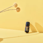 Aceite esencial de helicriso dōTERRA 5ml apoyado en esquina de superficie amarilla con dos tallos de flores secas esféricas beige y sombras dramáticas