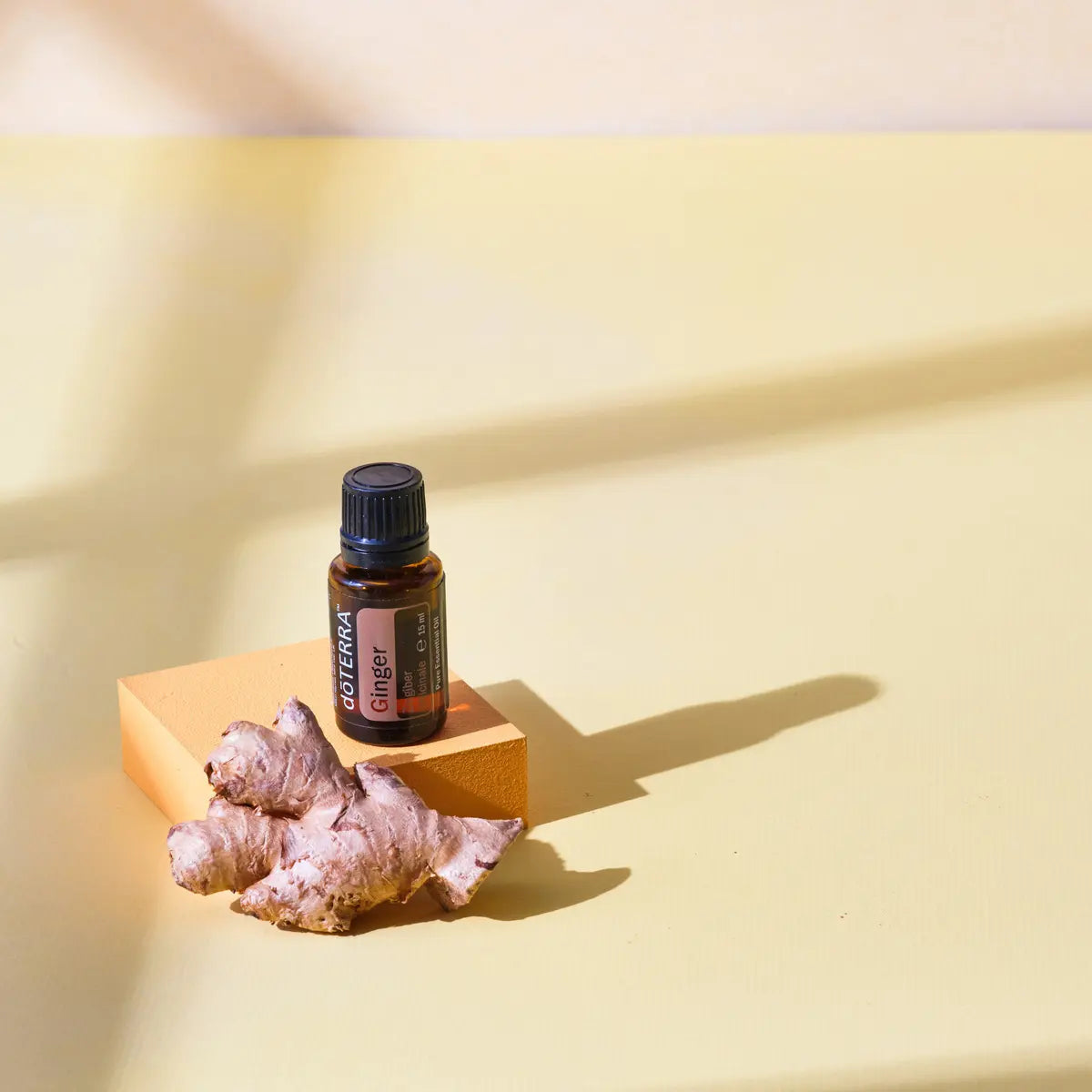 Aceite esencial de jengibre dōTERRA 15ml sobre pedestal cubo naranja ocre con raíz de jengibre fresco, fondo amarillo pálido con sombras dramáticas