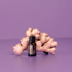Aceite esencial de jengibre dōTERRA 15ml frente a raíz de jengibre con iluminación de estudio en tonos púrpura, fondo morado