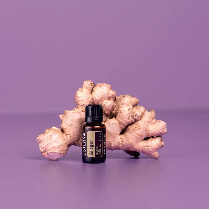 Aceite esencial de jengibre dōTERRA 15ml frente a raíz de jengibre con iluminación de estudio en tonos púrpura, fondo morado