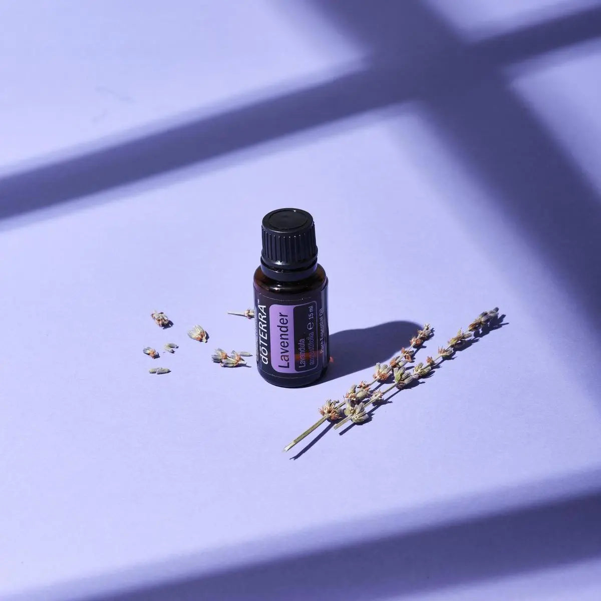 Aceite esencial de Lavanda doTERRA 15ml sobre superficie lila con ramitas de flores de lavanda secas y sombras geometricas de luz natural