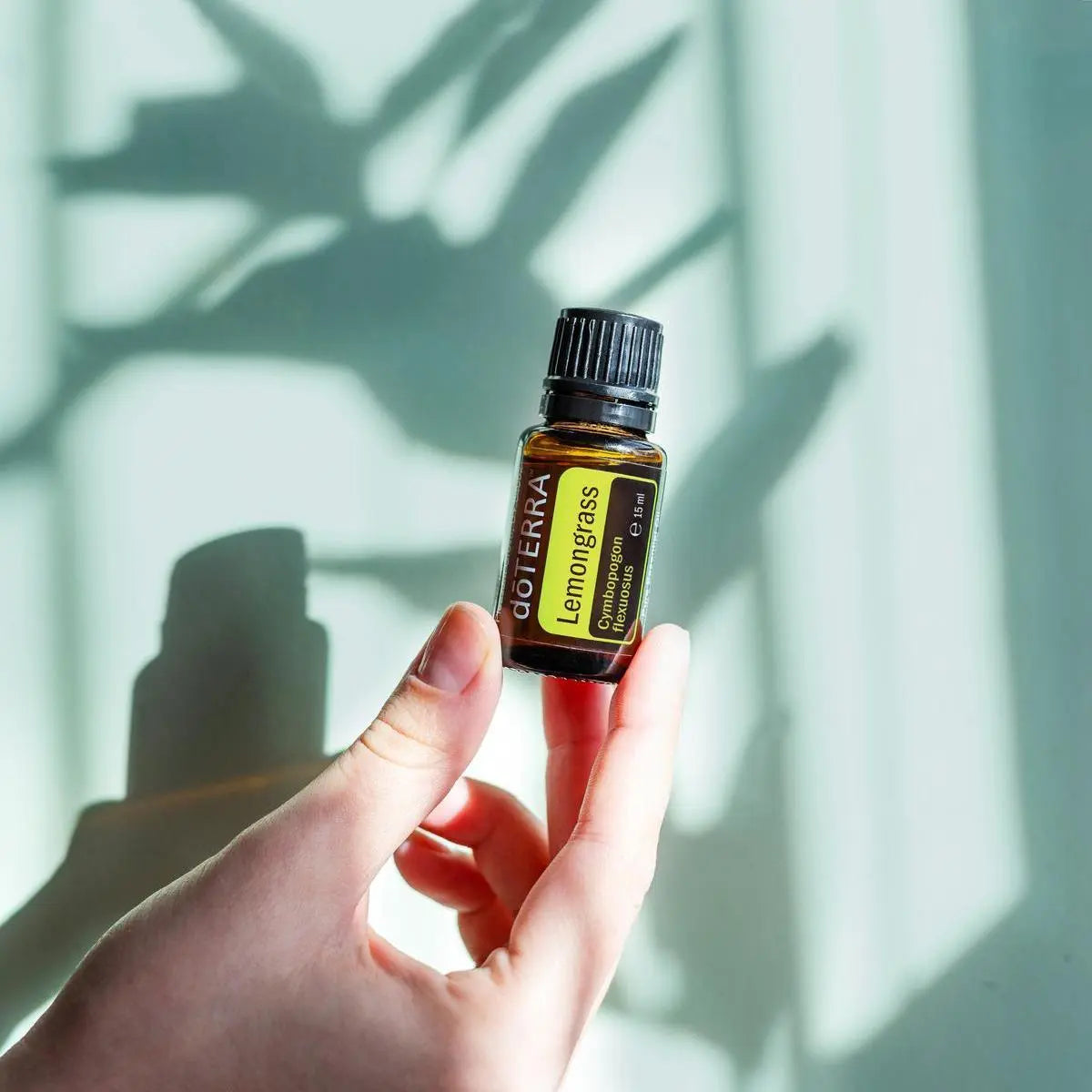 Mano sosteniendo aceite esencial de Lemongrass doTERRA 15ml frente a pared verde menta con sombra de planta proyectada en luz lateral