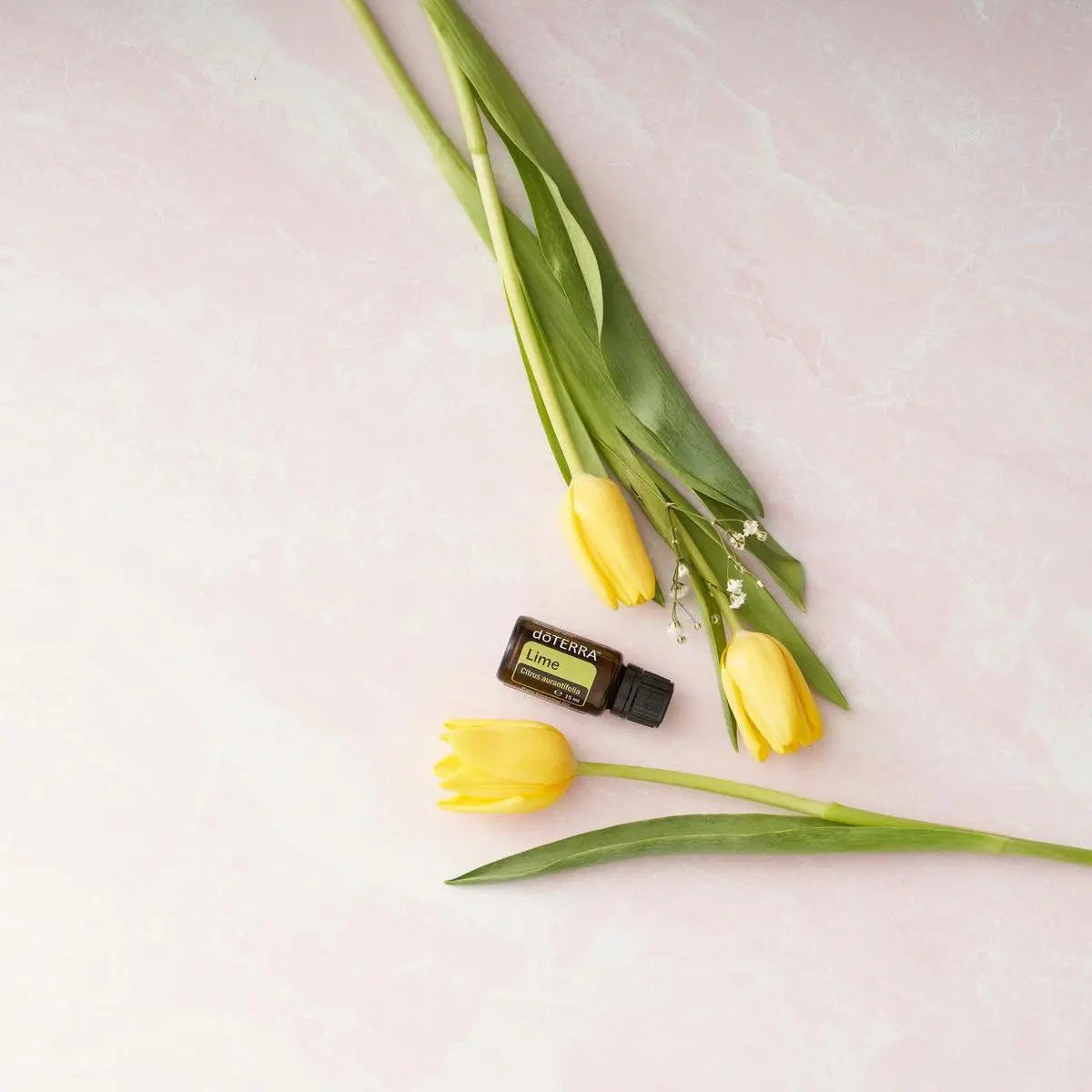 Aceite Esencial Lima dōTERRA 15ml con tulipanes amarillos sobre mármol rosa vista cenital