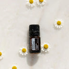 Aceite esencial de Manzanilla Romana dōTERRA 5ml sobre superficie húmeda con flores de manzanilla y gotas de agua, vista cenital