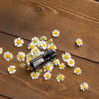 Aceite esencial de Manzanilla Romana dōTERRA 5ml entre flores de manzanilla dispersas sobre tabla de madera oscura, vista cenital