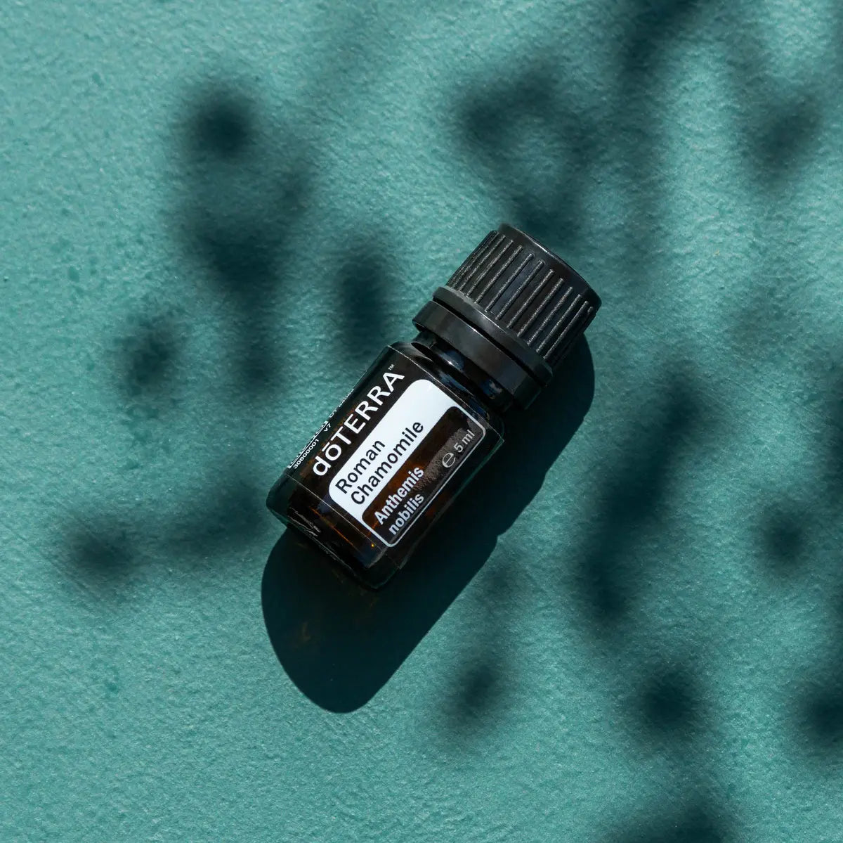 Aceite esencial de Manzanilla Romana dōTERRA 5ml sobre fondo teal con sombras dramáticas de hojas proyectadas por luz solar directa