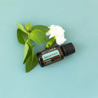 Aceite Esencial Spearmint dōTERRA 15ml con hojas de menta y flor blanca sobre fondo turquesa
