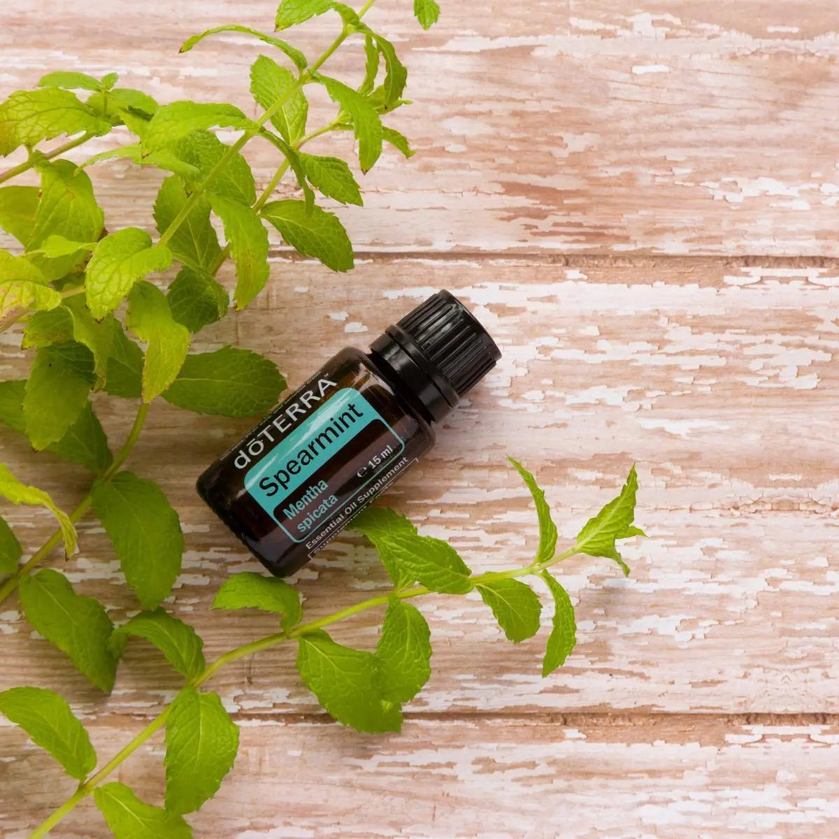 Aceite Esencial Spearmint Menta Verde dōTERRA 15ml sobre madera pintada vintage con ramas de menta cenital