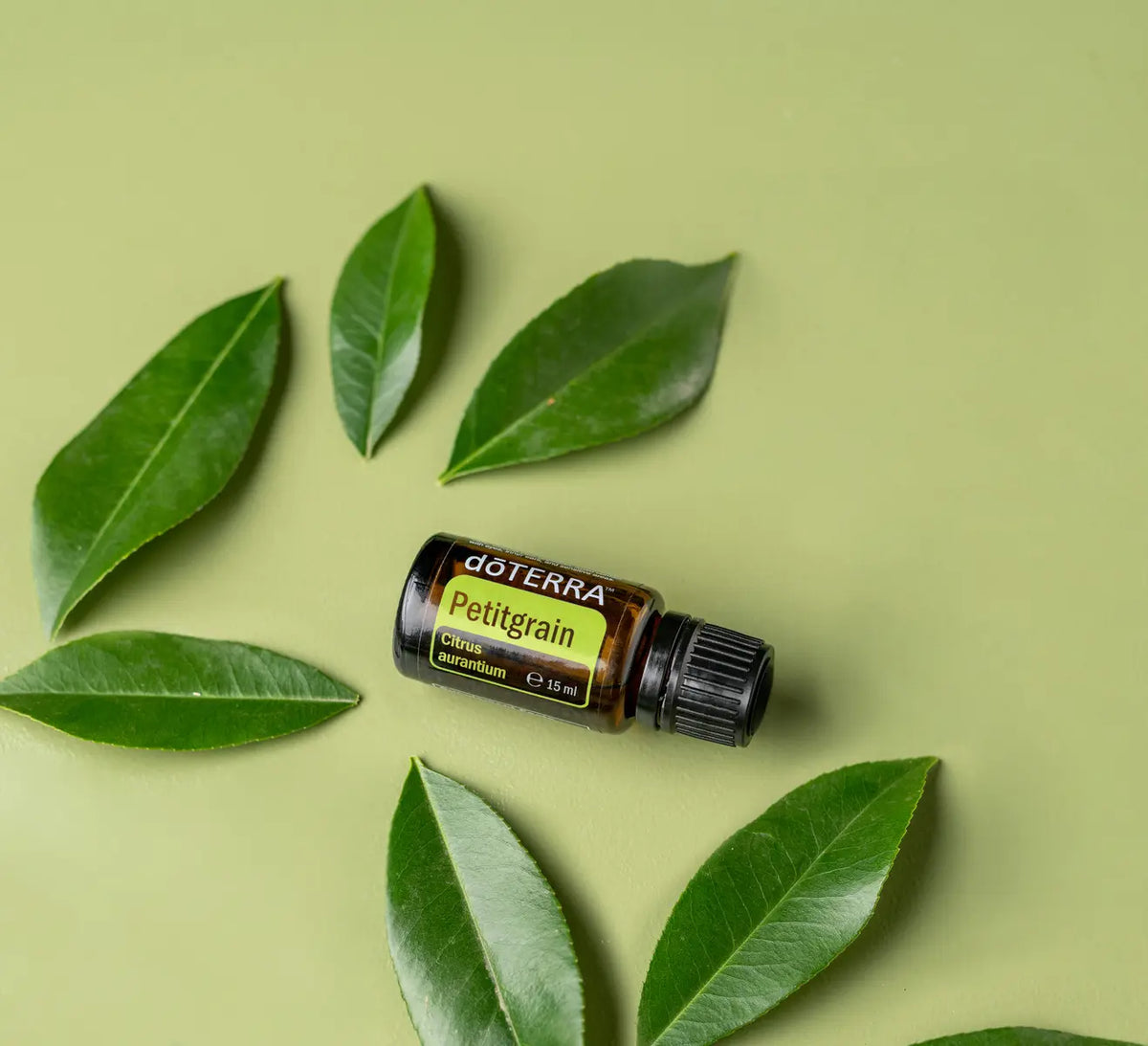 Aceite Esencial Petitgrain dōTERRA 15ml con hojas de cítrus verdes sobre fondo verde claro cenital