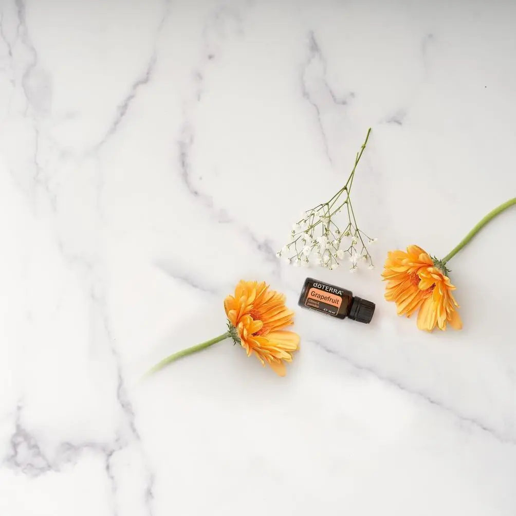 Aceite esencial de pomelo dōTERRA 15ml entre dos gerberas naranja y rama de gypsophila blanca sobre mármol blanco, flat lay cenital