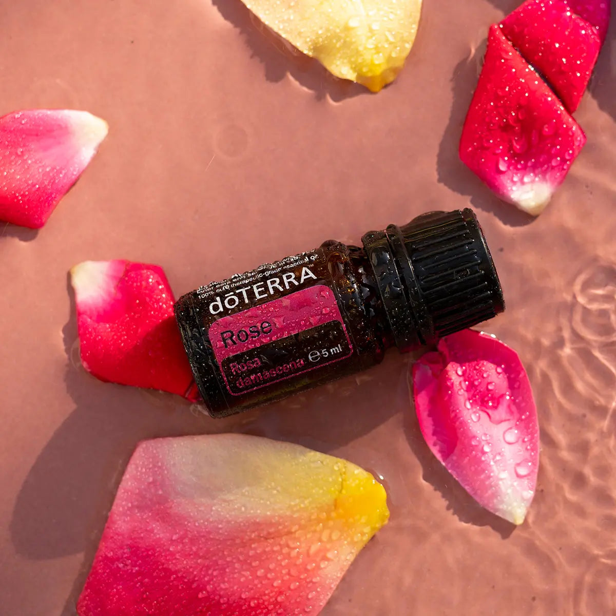 Frasco de aceite esencial de Rosa dōTERRA 5ml recostado en agua rosada con pétalos multicolores y gotas de agua, vista cenital
