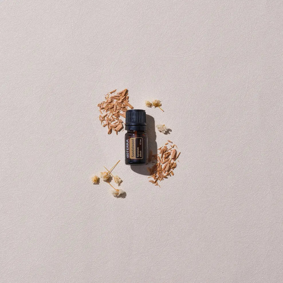Aceite esencial de Sándalo Indiano dōTERRA 5ml rodeado de astillas de madera de sándalo y flores blancas secas sobre fondo crema, vista cenital