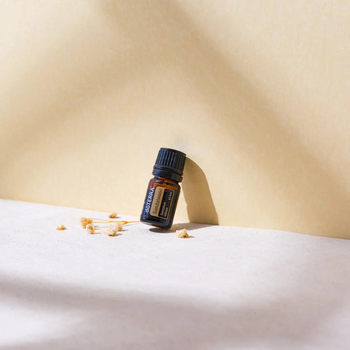 Aceite esencial de Sándalo Indiano dōTERRA 5ml sobre superficie beige con flores secas amarillas y sombras suaves de luz natural