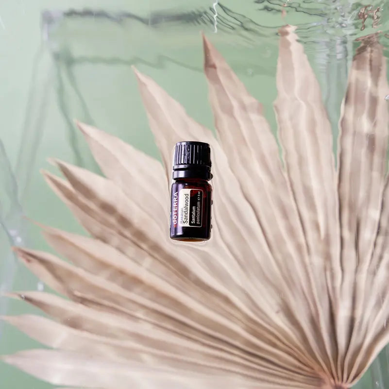 Aceite esencial de Sándalo Hawaiano dōTERRA 5ml sobre hoja de palma seca de gran formato, fondo verde agua desenfocado