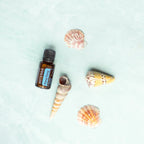 Flat lay del Aceite Esencial de Ylang Ylang dōTERRA 15ml con cuatro conchas marinas (vieira, turritella, cono) sobre textura de piedra aguamarina