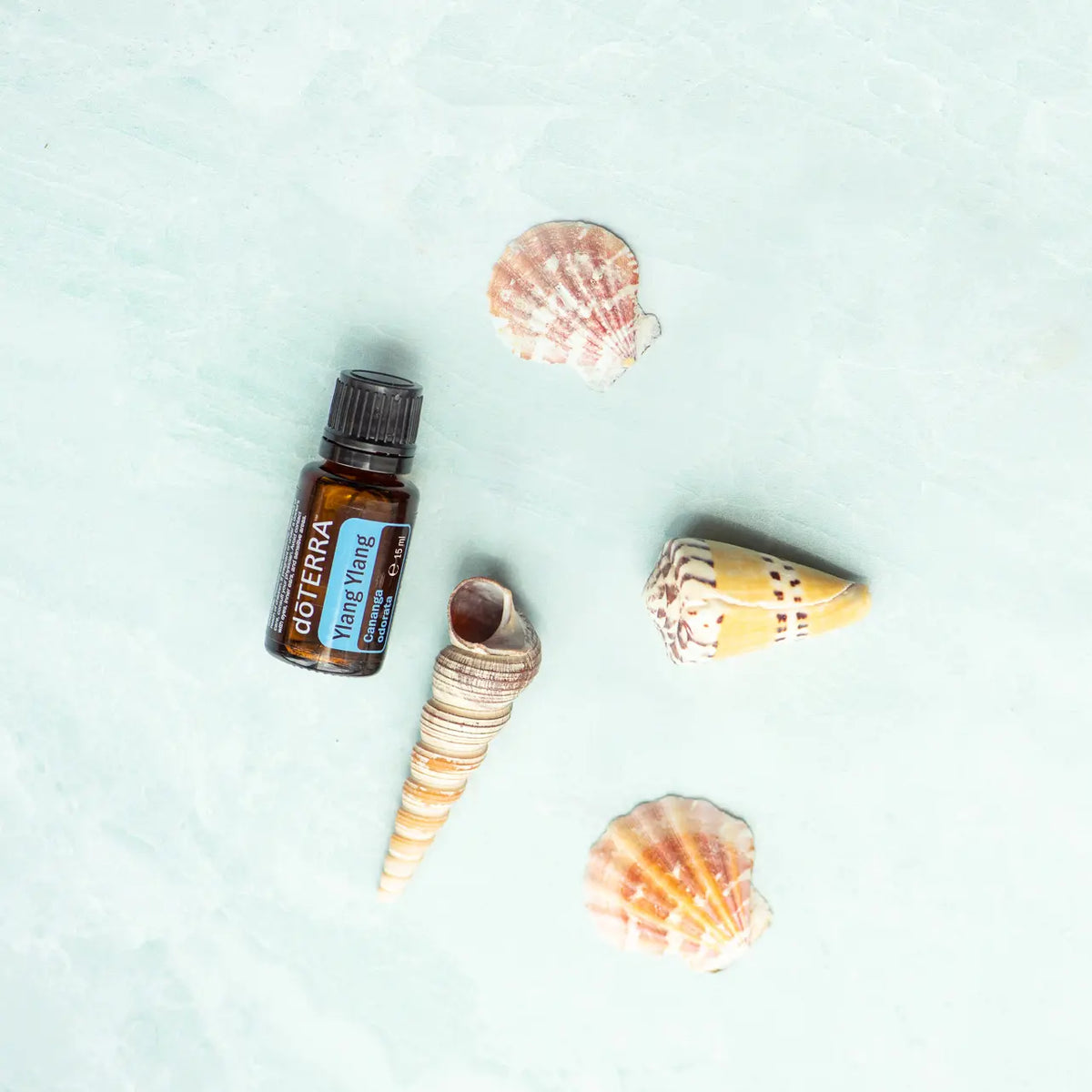 Flat lay del Aceite Esencial de Ylang Ylang dōTERRA 15ml con cuatro conchas marinas (vieira, turritella, cono) sobre textura de piedra aguamarina