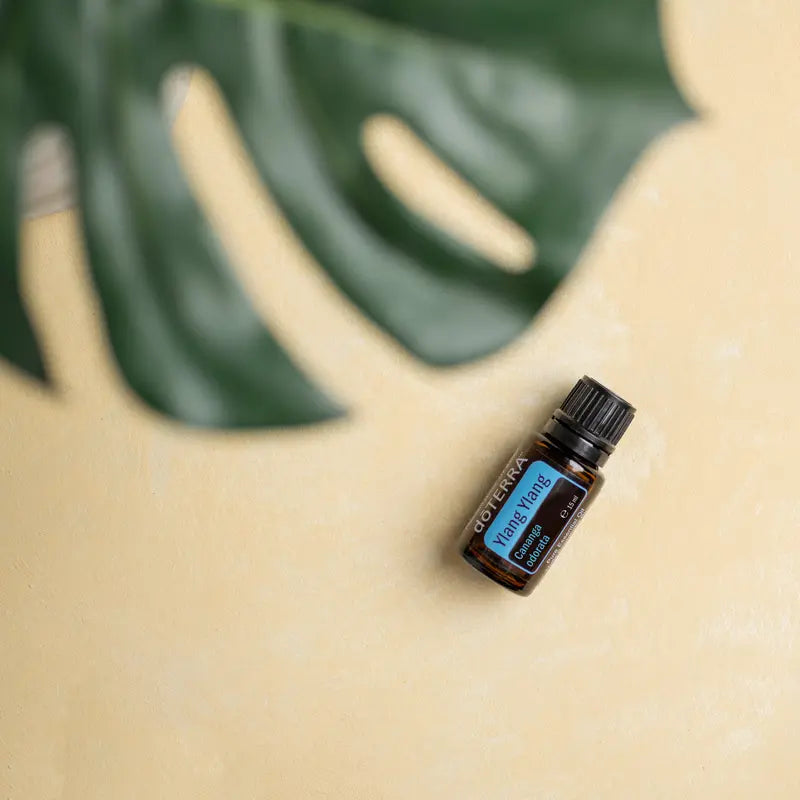 Frasco del Aceite Esencial de Ylang Ylang dōTERRA 15ml recostado sobre superficie crema cálida con gran hoja de monstera desenfocada al fondo