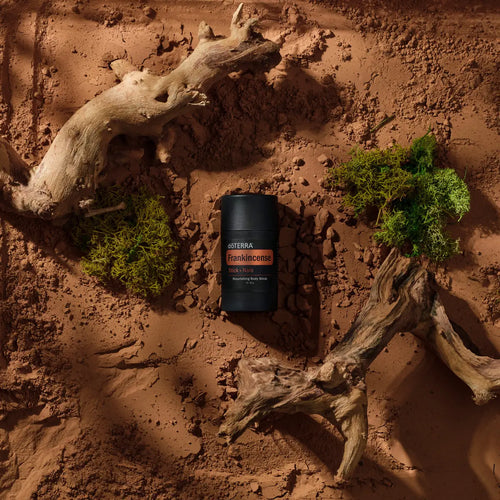 Barra de Incienso Frankincense dōTERRA con Madera de Naio 30g — estudio fondo oscuro