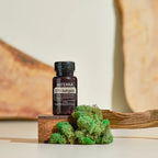 Capsulas Blandas CP+ doTERRA sobre bloque de madera maciza decorado con musgo verde y pieza de corteza curvada al fondo, fondo crema de estudio