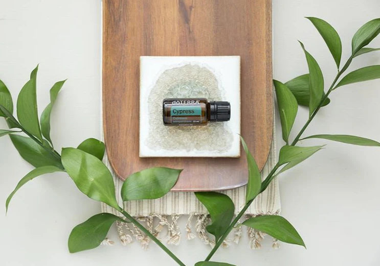 Aceite Esencial de Ciprés  | 15 ml dōTERRA