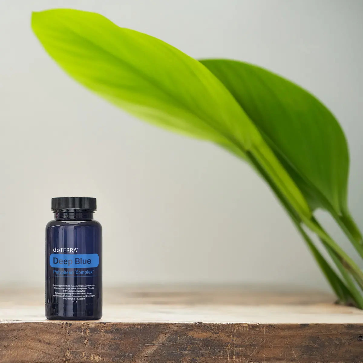 Bote doTERRA Deep Blue Polyphenol Complex sobre superficie de madera con hoja verde tropical al fondo
