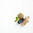 Frasco de aceite esencial dōTERRA ZenGest 15ml junto a raíz de jengibre, semillas de hinojo y hojas de menta sobre fondo blanco.