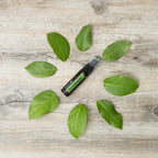 Espray dōTERRA TerraShield 30ml — frasco rodeado de hojas verdes grandes sobre madera blanca, vista cenital