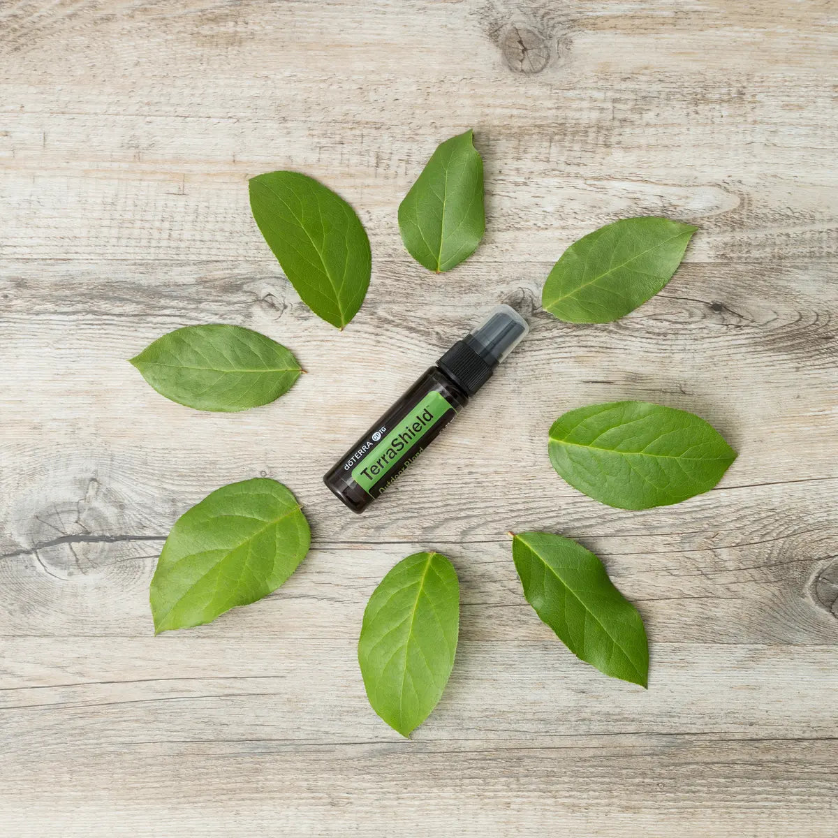 Espray dōTERRA TerraShield 30ml — frasco rodeado de hojas verdes grandes sobre madera blanca, vista cenital