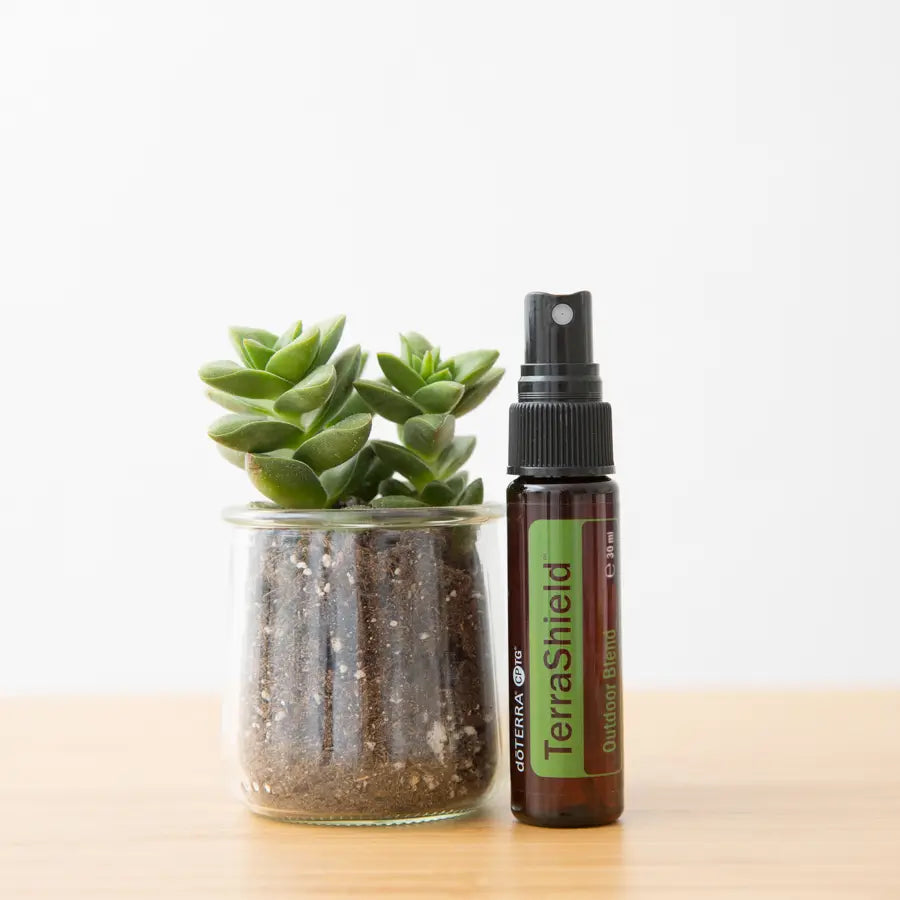 Espray dōTERRA TerraShield 30ml — frasco junto a suculenta en maceta de cristal sobre mesa de madera, fondo blanco