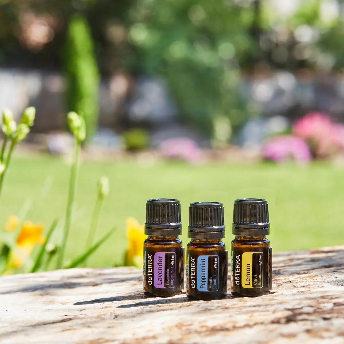 Kit introductorio dōTERRA EU — aceites esenciales en escena exterior con luz natural