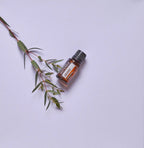 Mezcla Abode dōTERRA 15ml vista cenital con ramita de eucalipto sobre fondo lila
