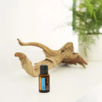 Frasco de Mezcla Air dōTERRA 15ml sobre tabla de madera blanca con raíz de árbol y planta verde