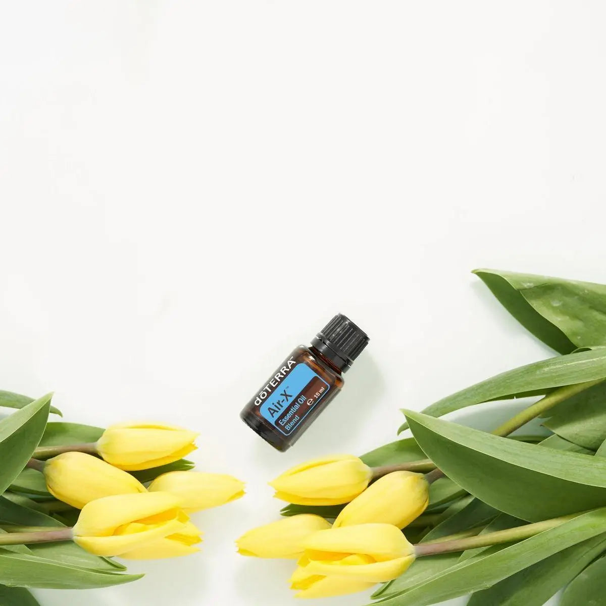 Frasco de Mezcla Air-X dōTERRA 15ml rodeado de tulipanes amarillos sobre fondo blanco de estudio